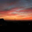 View from my Window
