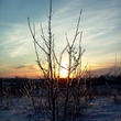 A Frozen World