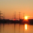 Tallships in the Morning Sun