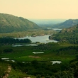 Irish Nature III