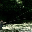 Catching a fish