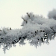 Frozen Over