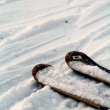 Skiing for life