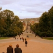 Royal View