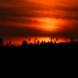 Sundown