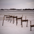 Iced landscape